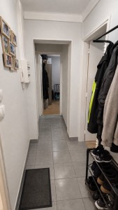 Voir le bien