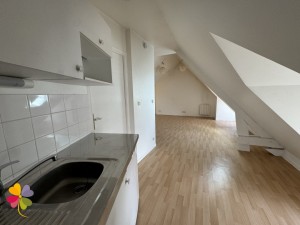 Voir le bien