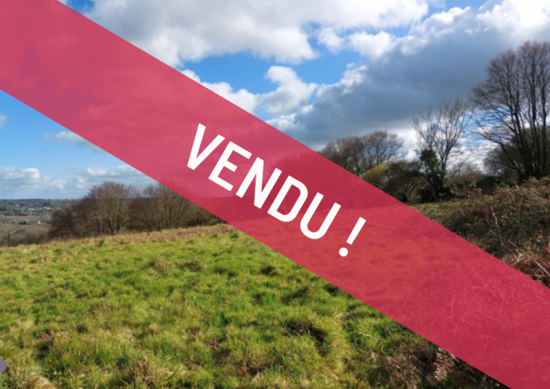 Voir le bien